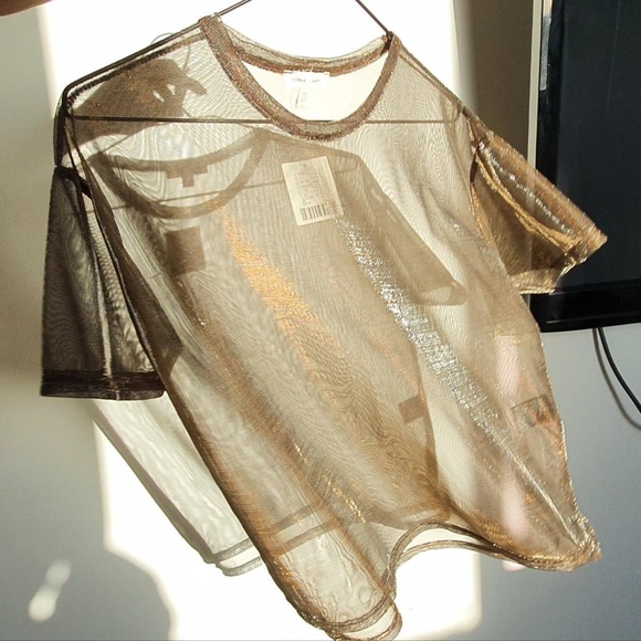 Urban Outfitters Tops - Silence + Noise Gold Metallic Sheer T-Shirt